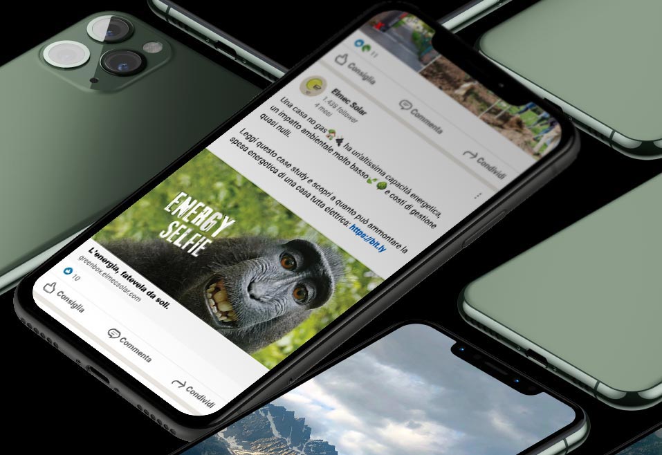 ale brunetti social elmecsolar